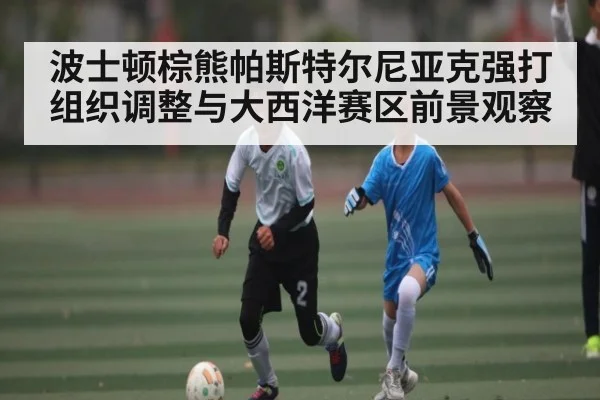 波士顿棕熊帕斯特尔尼亚克强打组织调整与大西洋赛区前景观察